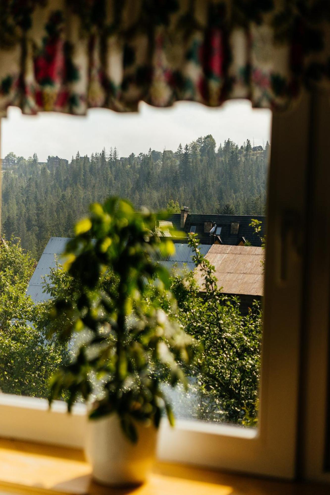 Willa Marta M Sauna Jacuzzi Zakopane Exteriör bild